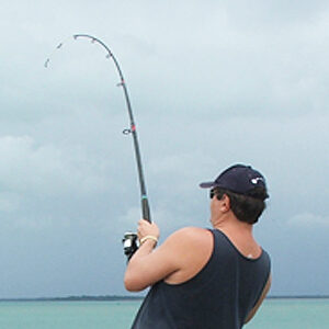 Man Catching Fish on new repaired fishing rod Townsville.